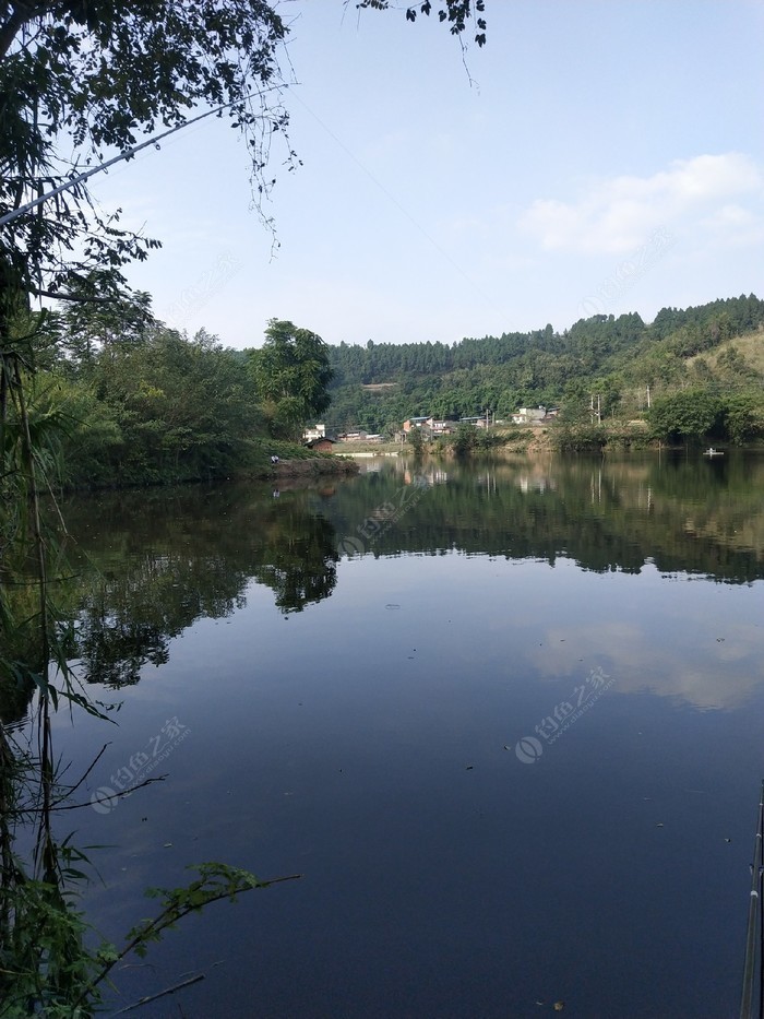 简阳踏水水库最新动态，友情与爱的温馨之旅进展更新