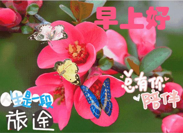 最新新春攻略，任务完成与技能学习指南，一步步走向成功之路