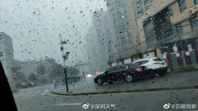 深圳暴雨最新动态及应对指南与技能学习